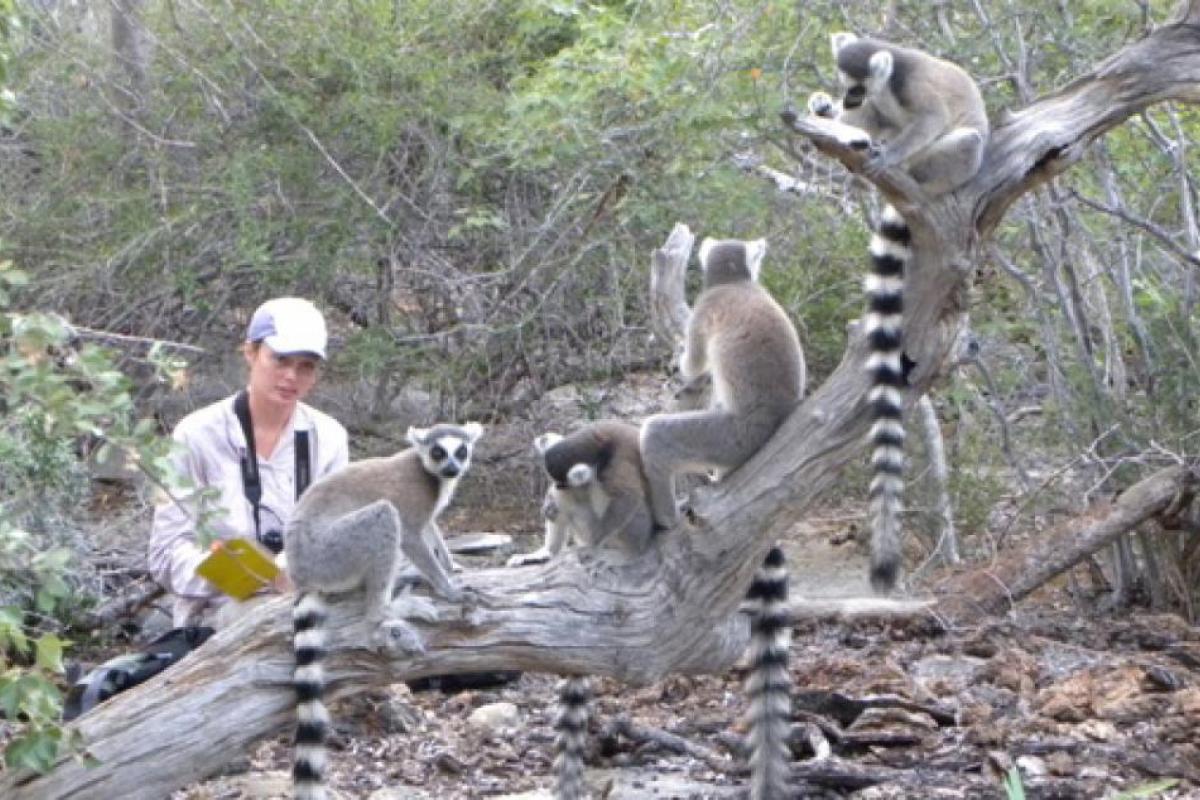 Graduate Student Marni with lemurs