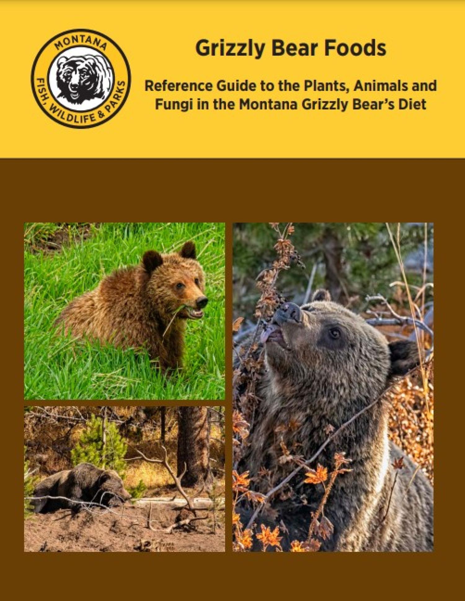 Grizzly Bear Diet Guide Cover featuring bears