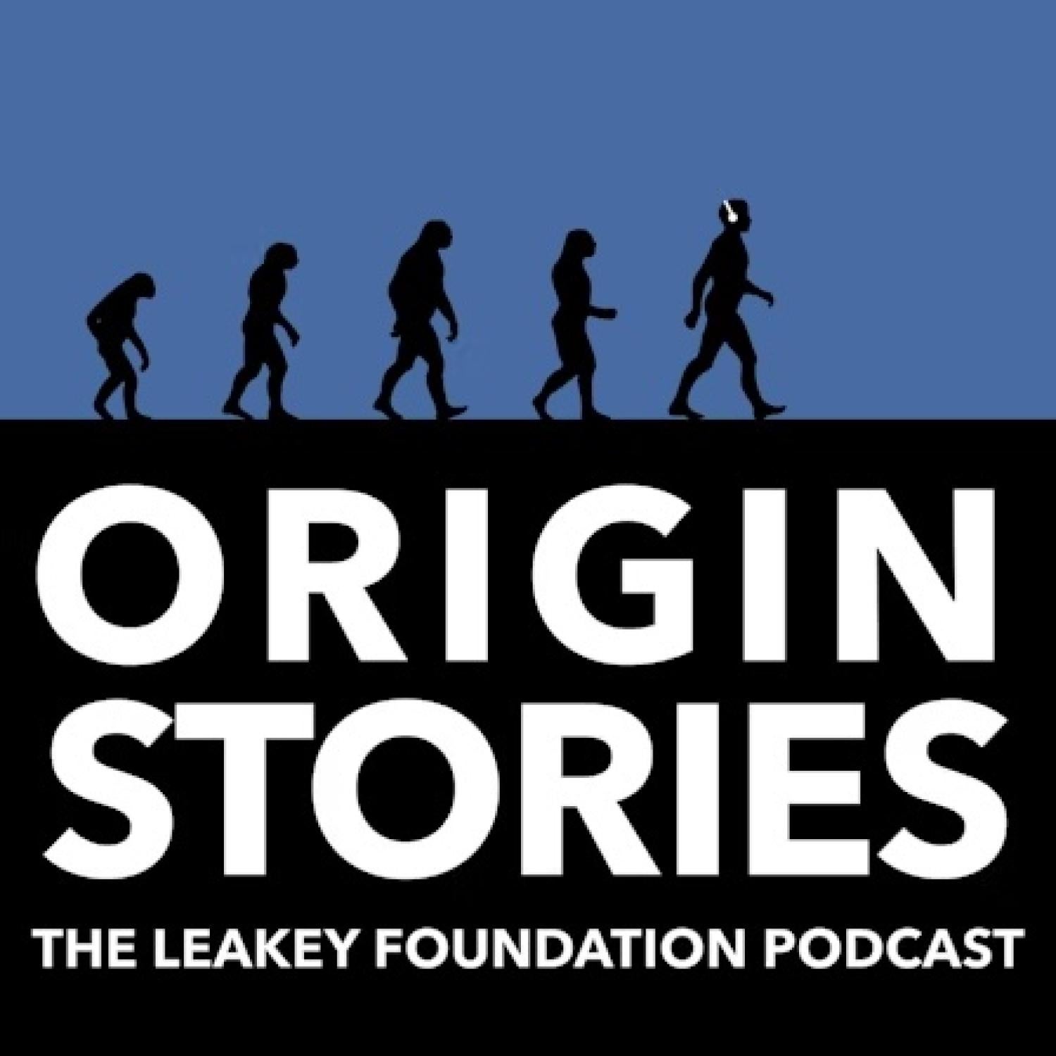 origin stories logo