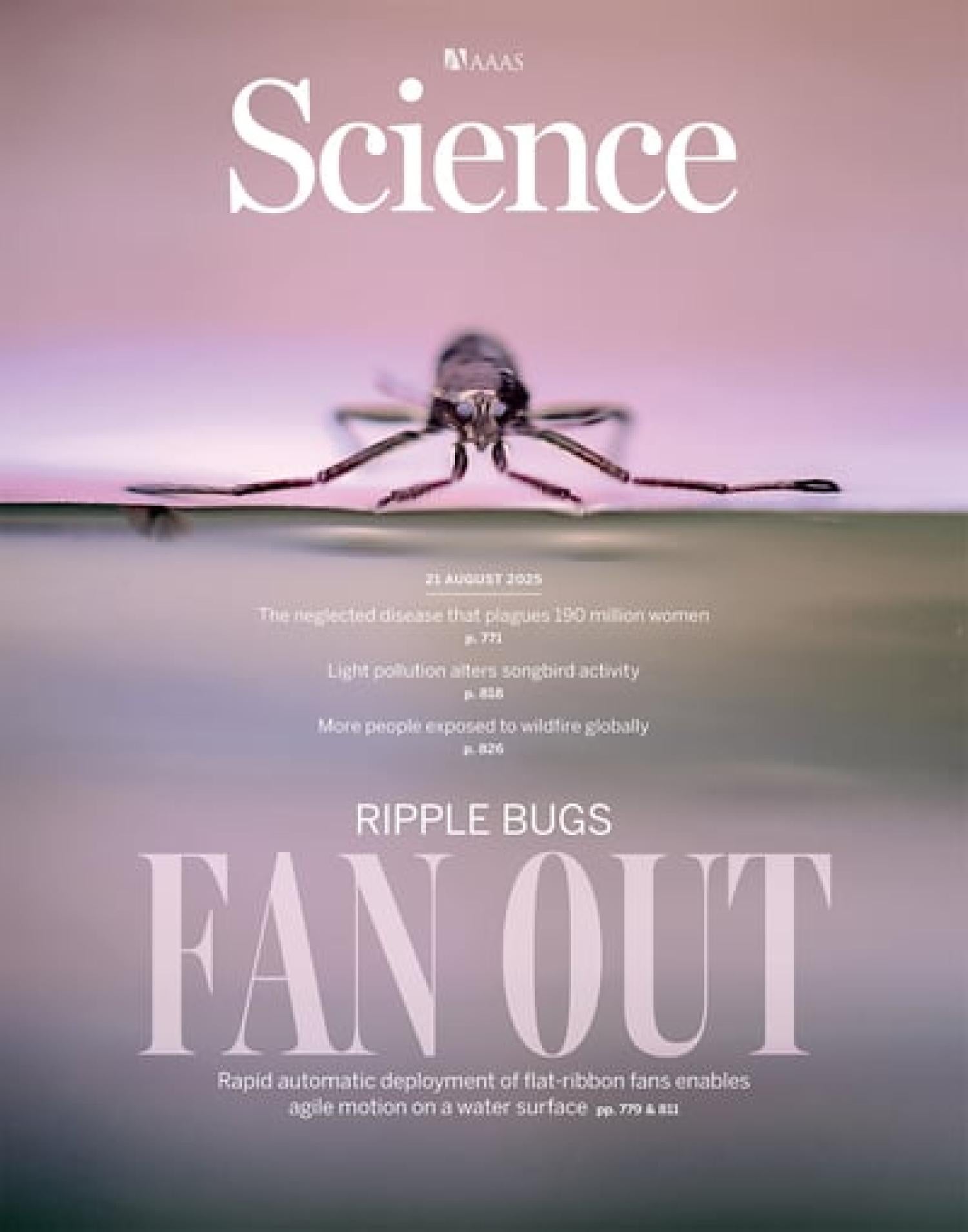 Science magazine cover August 2025