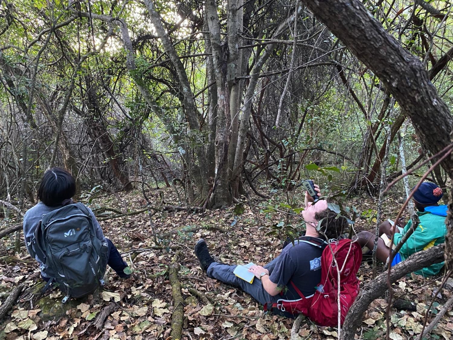 Jack Dalton observing galagos