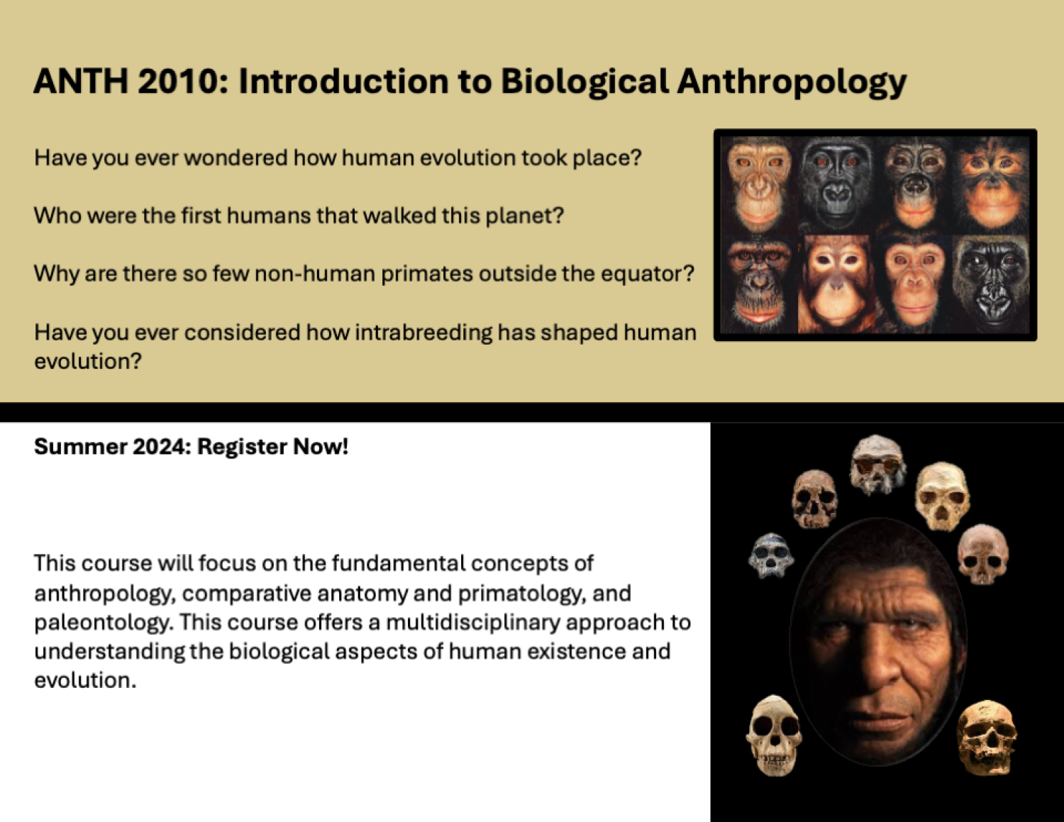 ANTH 2010 Flyer featuring the evolution of man