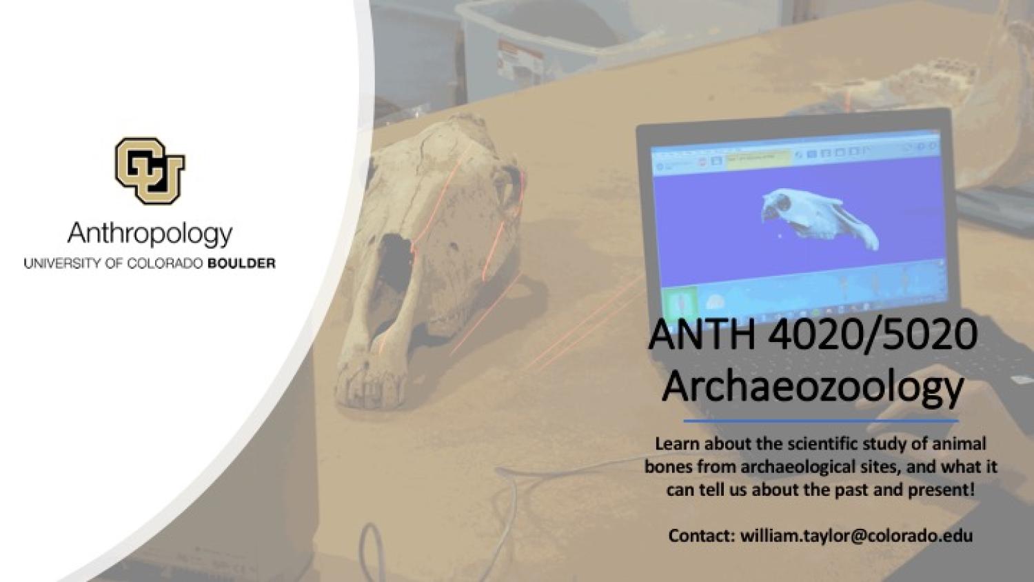 ANTH 4020 Archaeozoology Promo Slide