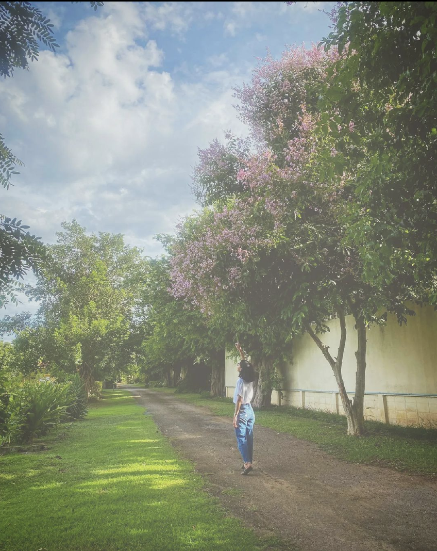 Chu reaching for flowers on a tree