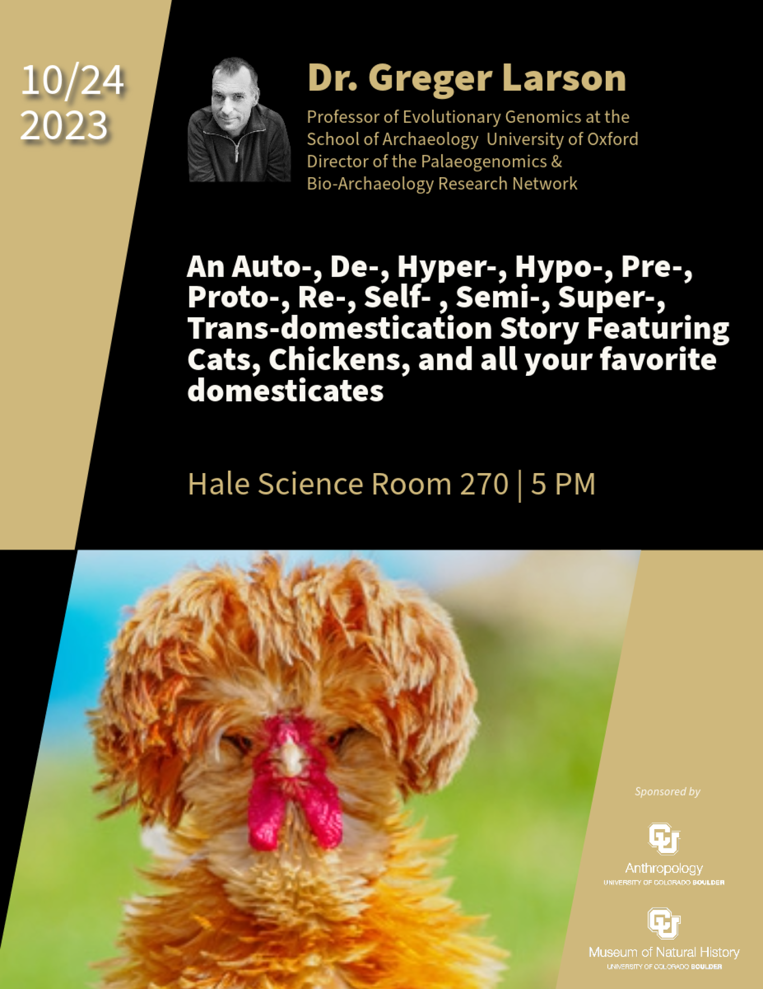 Talk flyer featuring Dr Larson and a chicken with crazy head feathers