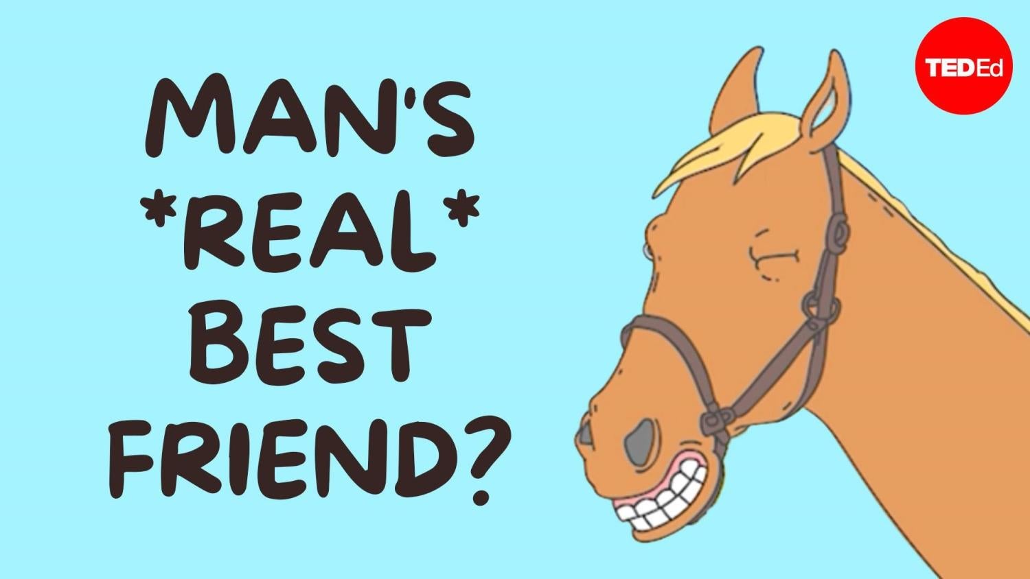 Ted Ed ad that says "mans real best friend?" with a cartoon horse
