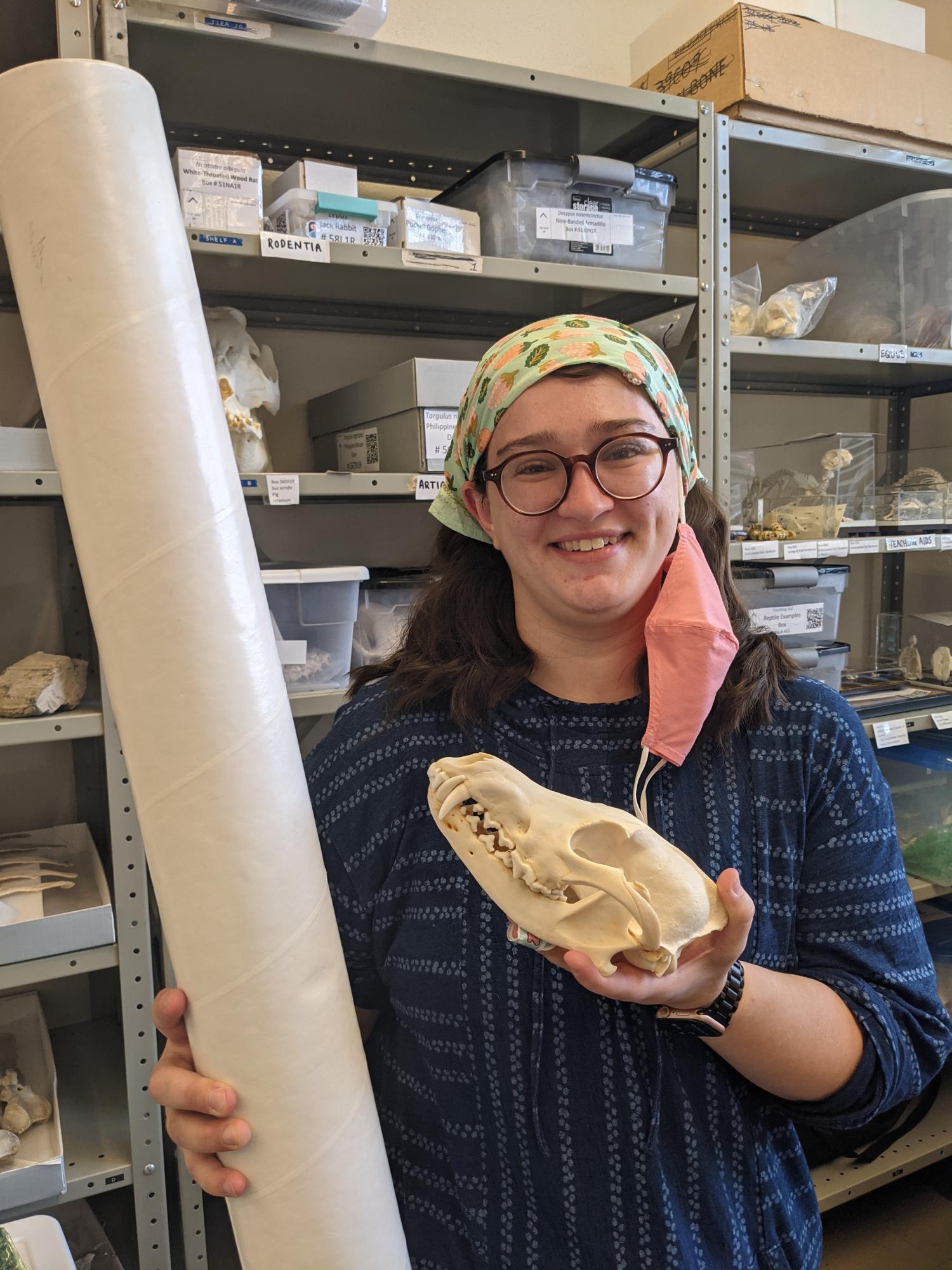 Sasha Buckser poses with a modern coyote skull in the Archaeozoology laboratory