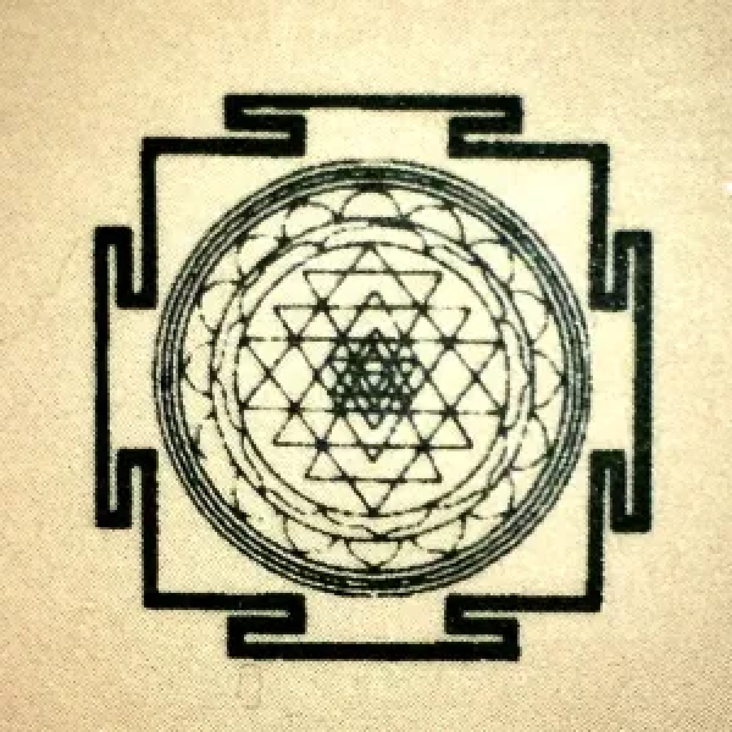 SHA Logo
