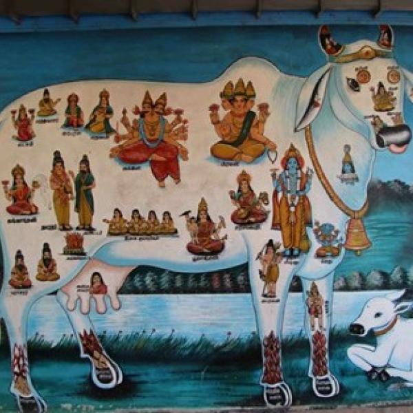Sri Lanka cow painting
