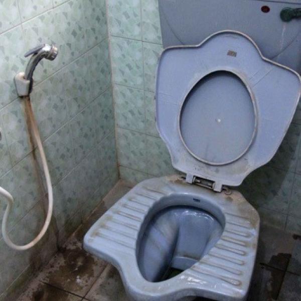 McGilvray toilet