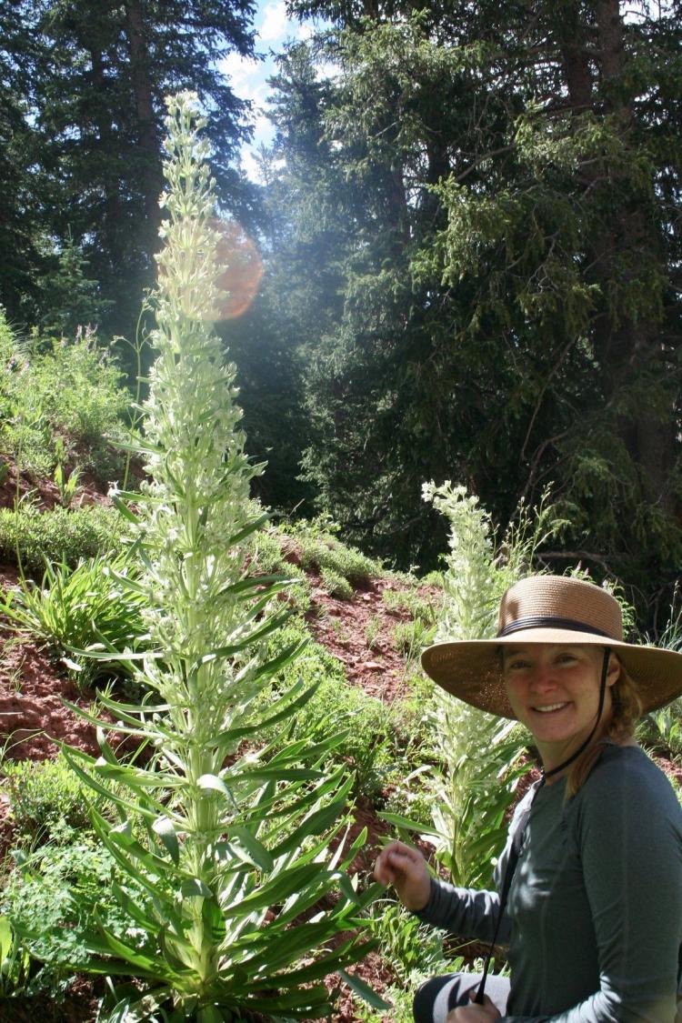 Kelly Zeppelin next to a mullein plant