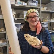 Sasha Buckser poses with a modern coyote skull in the Archaeozoology laboratory