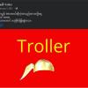 Troller cover