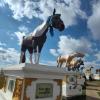 A monument to famous racehorses at Arvaikheer, Mongolia