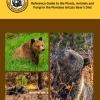 Grizzly Bear Diet Guide Cover featuring bears