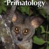 International Journal of Primatology Cover