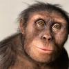 lucy reconstruction sculpture