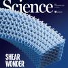Science magazine cover January 2025