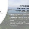 ANTH 1180 promo slide featuring a seascape background