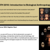 ANTH 2010 Flyer featuring the evolution of man