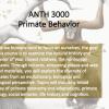 ANTH 3000 promo slide featuring primates in a tree