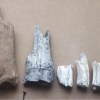 Chorrillo Grande Site horse bones and teeth