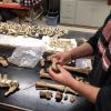lehihorse5 remains