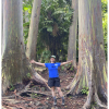 Page next to huge rainbow_eucaliptus-_trees