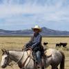 Sabrina on a horse