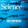 Science Cover