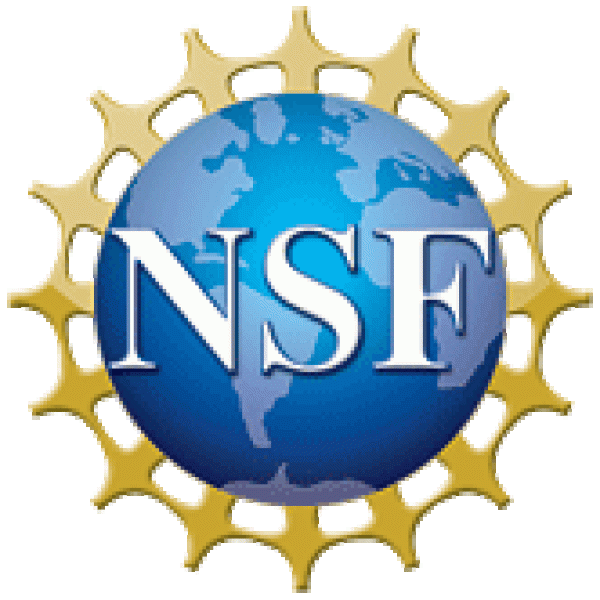 nsf logo