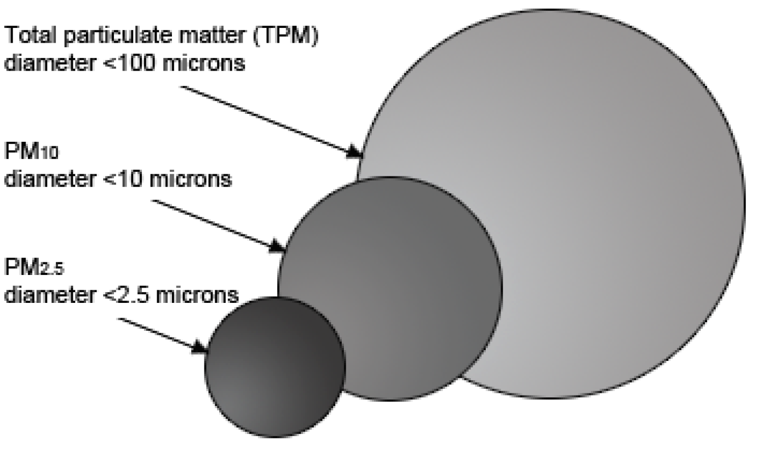 PM size diagram