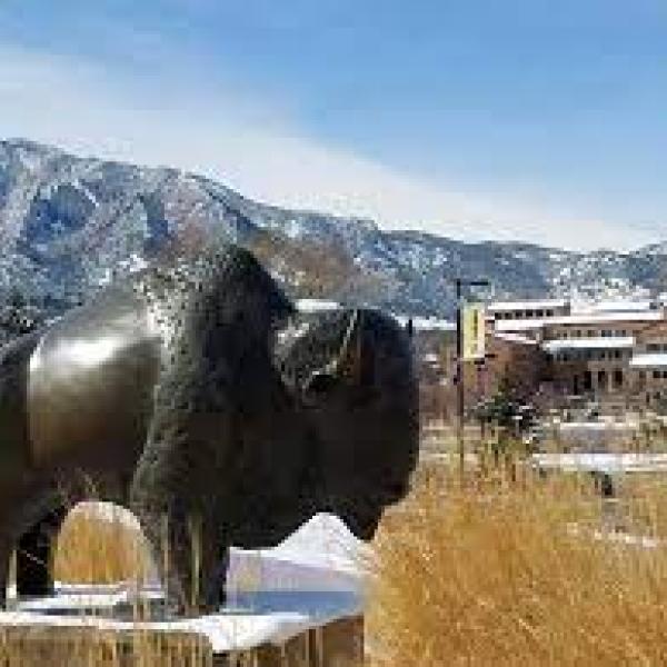 CU Boulder buffalo sculpture
