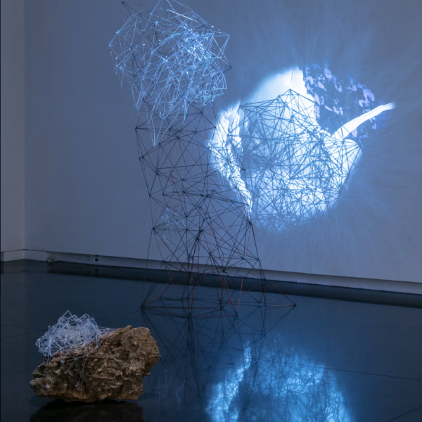 Amy Hoagland