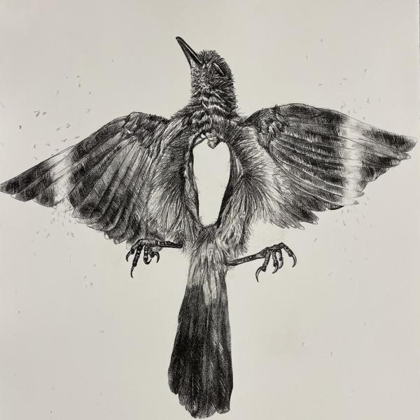 Madeline Sturm