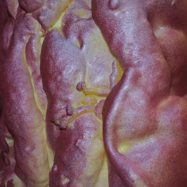 The Dressing, 2022 Mixed Media Installation 11 ft x 10 ft, detail