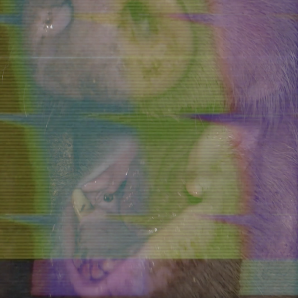 Notes: The Future is Fake (3:48), 2022 video still