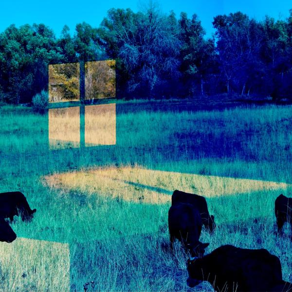 Untitled no 29, 2021 Photoshop 8x10in