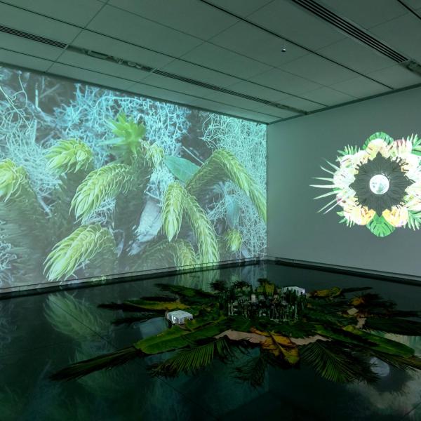 Un País Olvidado: Reliquias de Vigencia (Forgotten Country: Relics of Agency), 2021