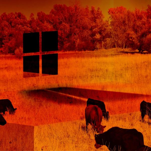 Untitled no 30, 2021 Photoshop 8x10in