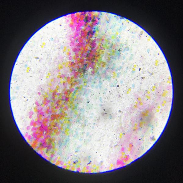 Untitled no 53, 2021 microscope detail
