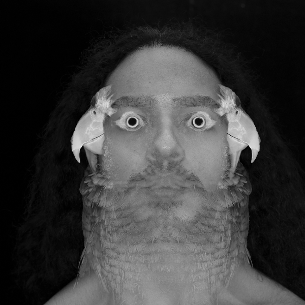 Keb Joloo K’uk Mo, Archival Photographic Inkjet Print, 2021