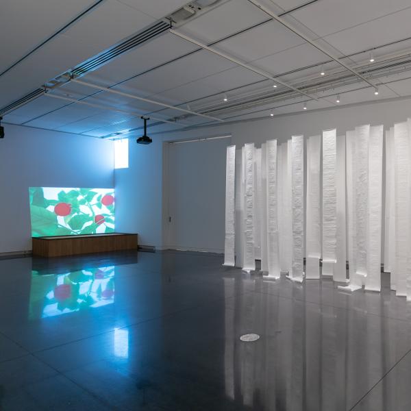 MFA Thesis exhibition, CU Art Museum, Spring 2024