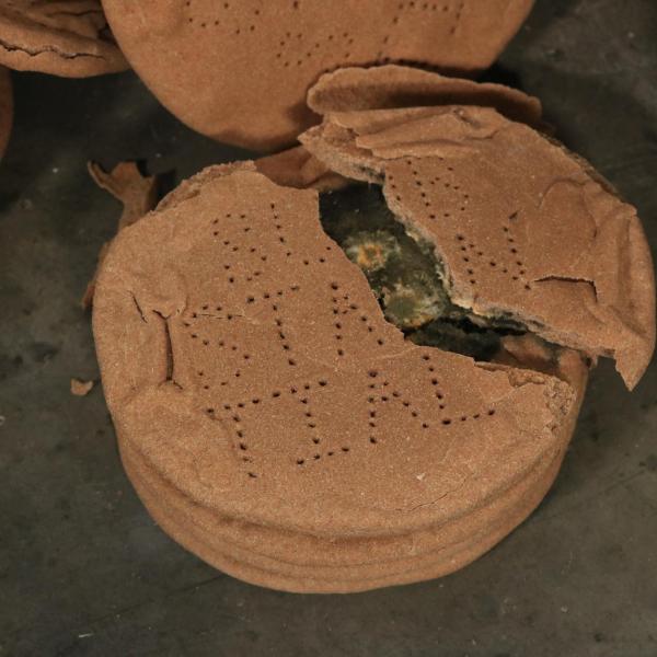Dennis Doyle (MFA). Body of substance (fallen), detail shot.