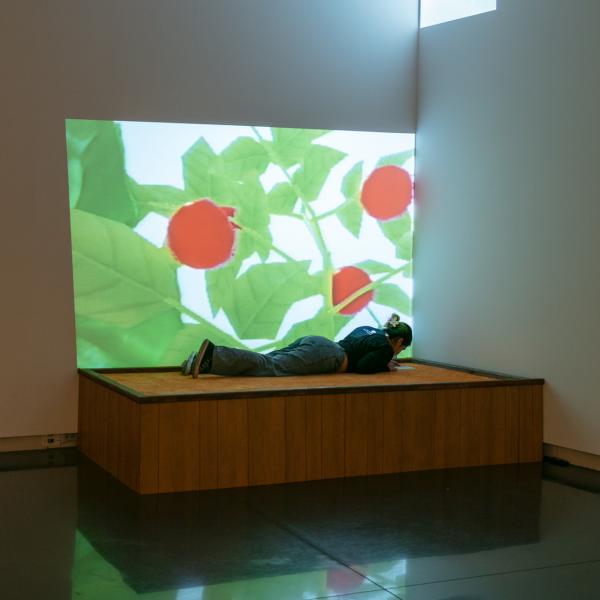 MFA Thesis exhibition, CU Art Museum, Spring 2024