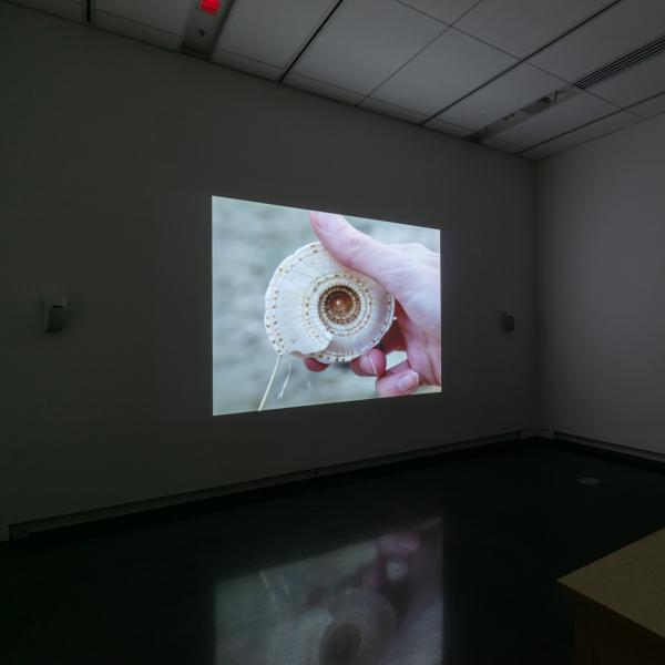 MFA Thesis Exhibition, Spring 2022 (round 2), CU Art Museum