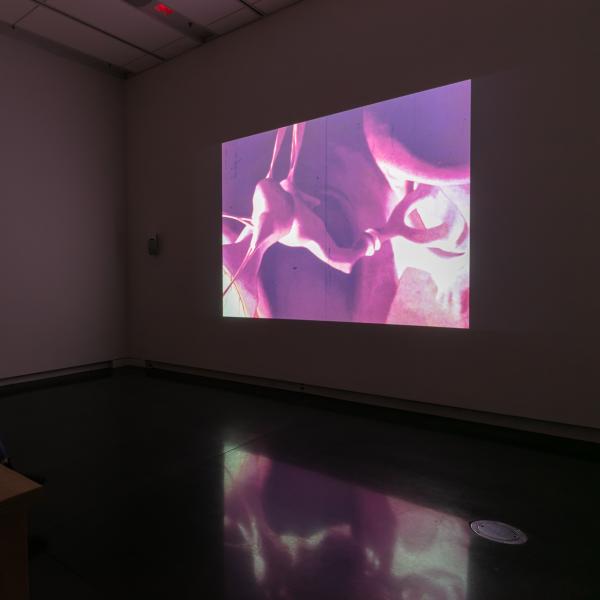 MFA Thesis Exhibition, Spring 2022 (round 2), CU Art Museum
