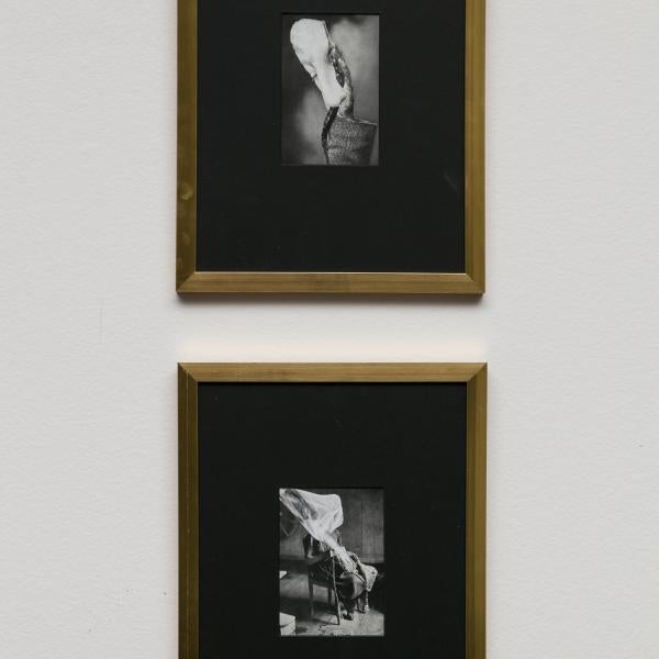 MFA Thesis Exhibition, Spring 2022 (round 1)