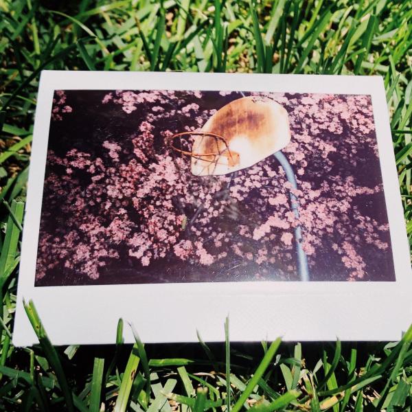 Kendall Healy (BA). "Rusted Florals." Photo. 4.25" X 3.4".