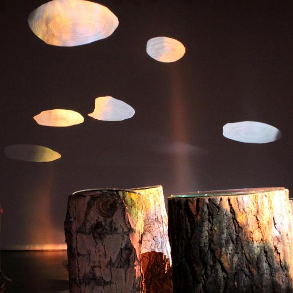 Amy Hoagland (MFA). Reflections on the Future, Tree stumps, etched mirrors, projection, 2020, Scale Variable